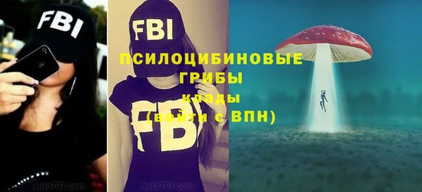 шишки Михайловка