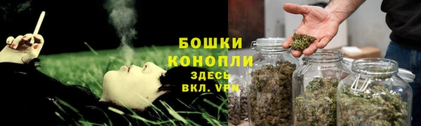 шишки Михайловка