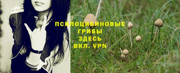 гашишное масло Михайловск