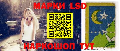 дмт Аргун