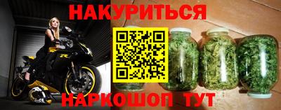 дмт Аргун