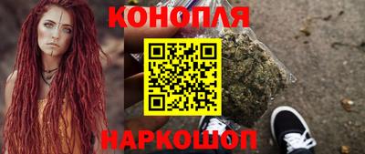 дмт Аргун