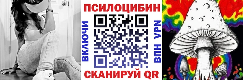 где продают   Тверь  Псилоцибиновые грибы Psilocybine cubensis 