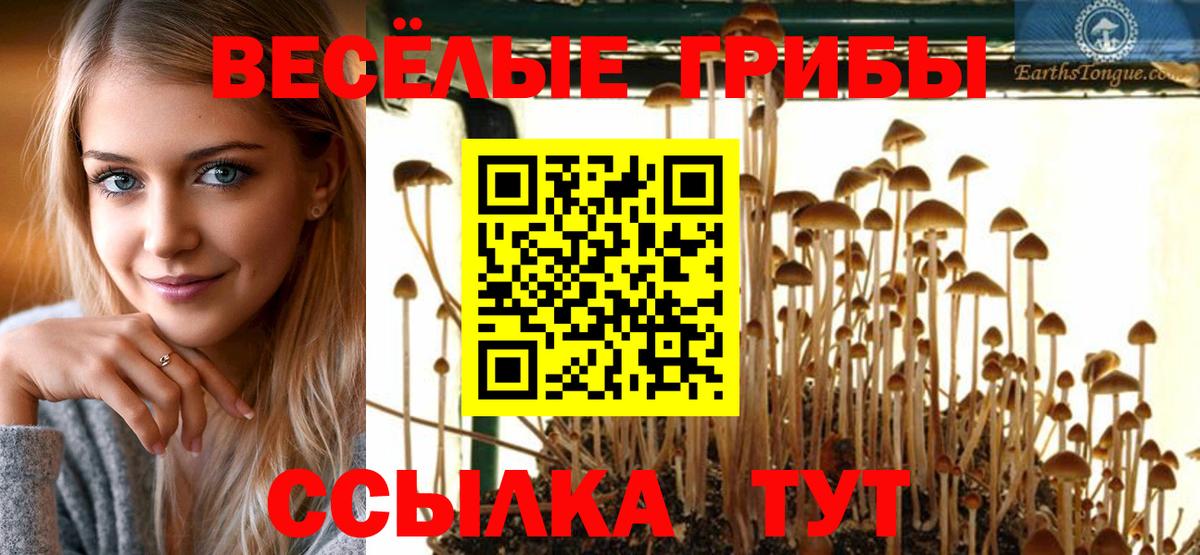 Галлюциногенные грибы Cubensis Тверь