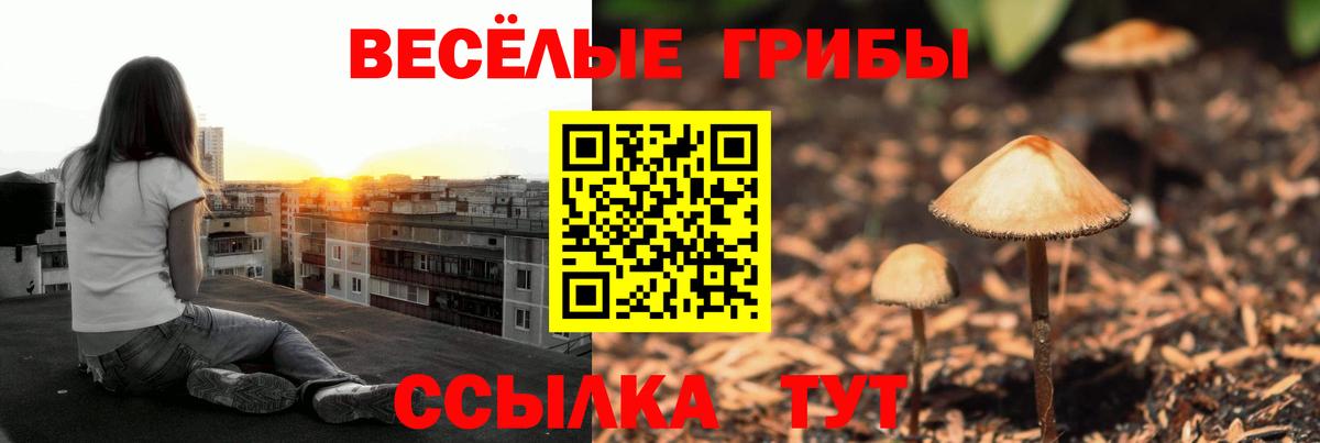 Тверь  Галлюциногенные грибы Psilocybe  Вход с VPN  Псилоцибиновые грибы Magic Shrooms 